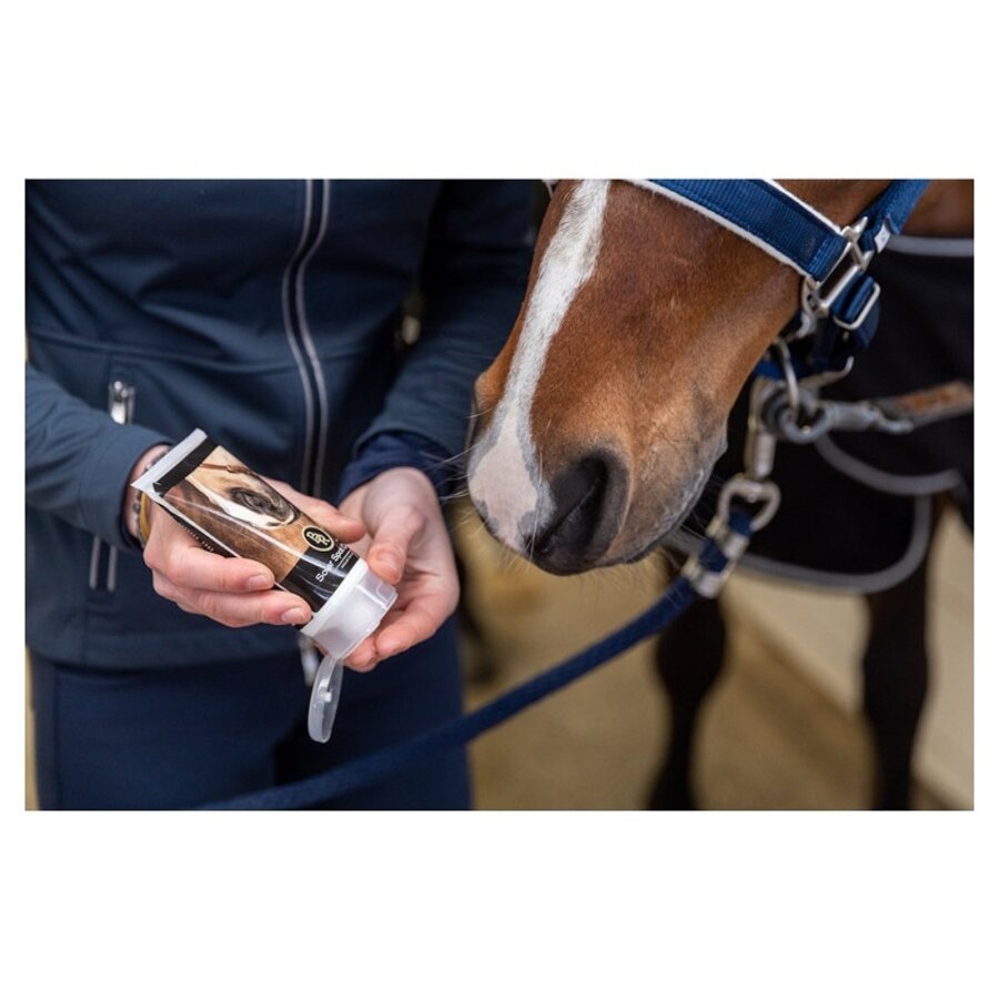 BR Solar Spot Cream 150 ml SPF30 for protecting sensitive and unpigmented horse skin-2