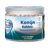 Renske Premios Saludables Mini Corazones Conejo – Snack natural sin cereales con 95 por ciento conejo – 100g o 300g