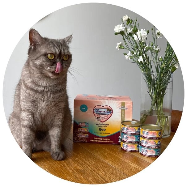 RENSKE Renske Eve Pâtée Chat Sans Céréales Box Variée 30 x 70 g