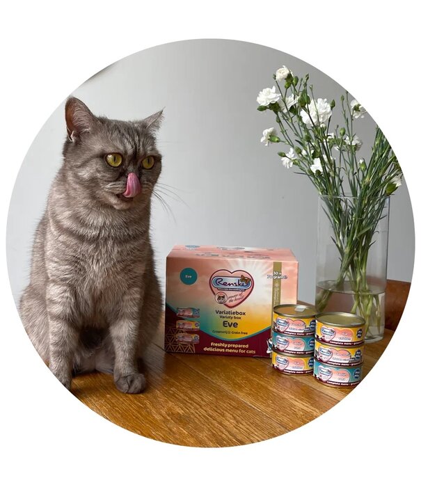 RENSKE Renske Eve Comida Húmeda Paté Sin Cereales para Gatos Caja Variada 30 x 70 g