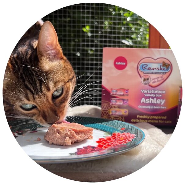 RENSKE Caja Variedad Ashley Renske 30x70g – Comida Húmeda Mousse para Gatos