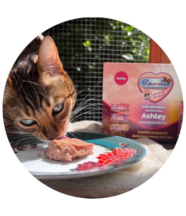 RENSKE Renske Variatiebox Ashley 30x70g – Natvoer Mousse voor Katten
