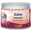 Renske Gezonde Beloning Zalm - Kat 100g