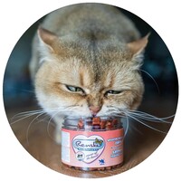 thumb-Renske Healthy Salmon Treats for Cats 100g – Grain-Free & Hypoallergenic-2