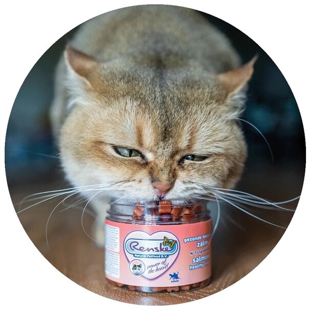 RENSKE Renske Friandises Saines Saumon pour Chats 100g – Sans Céréales & Hypoallergénique
