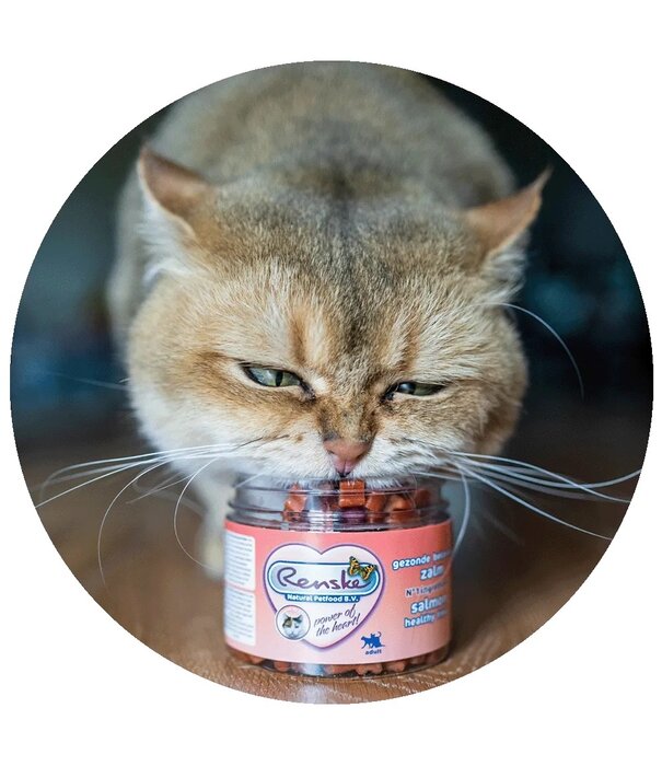 RENSKE Renske Premios Saludables de Salmón para Gatos 100g – Sin Cereales e Hipoalergénico