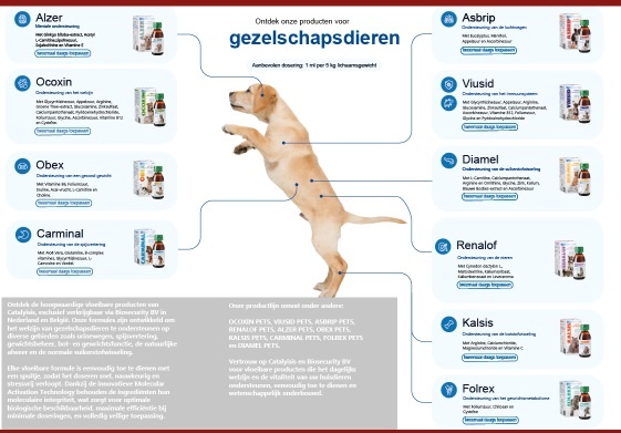 Catalysis Brochurer NL