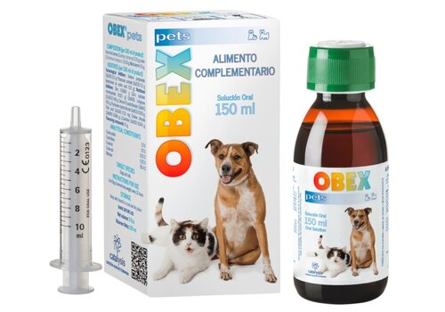 OBEX® Pets – Unterstützung für gesundes Gewicht bei Hunden und Katzen 