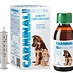 Carminal Pets – Digestion & Stomach Support for Dogs & Cats