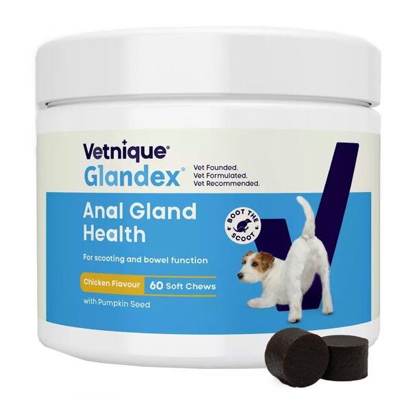 Glandex Glandex Soft Chews – 30 oder 60 Stück – natürliche Unterstützung bei Analdrüsenproblemen für Hunde