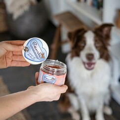 Hundesnacks
