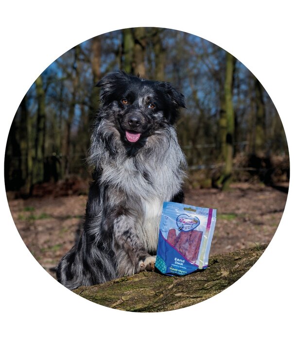 RENSKE Renske Meat Bars Duck – Grain-Free & Hypoallergenic | Zoolac.nl