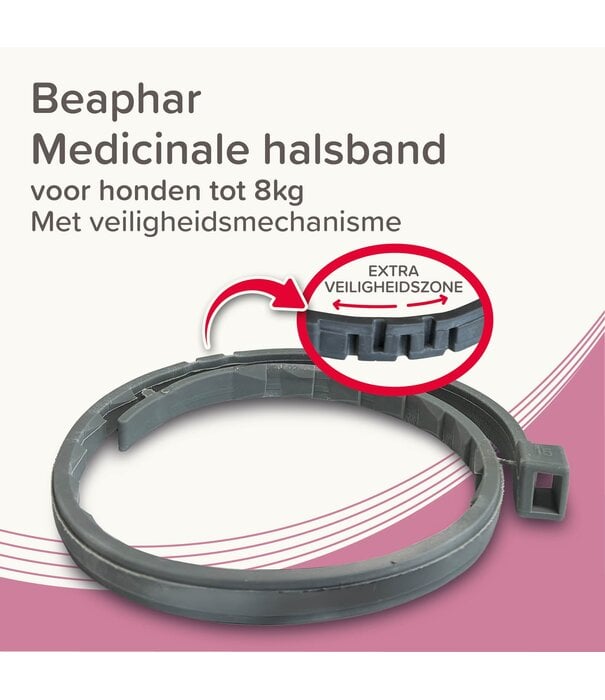 Beaphar Collar Medicinal Beaphar Perro hasta 8kg – 8 Meses de Protección | Zoolac.nl