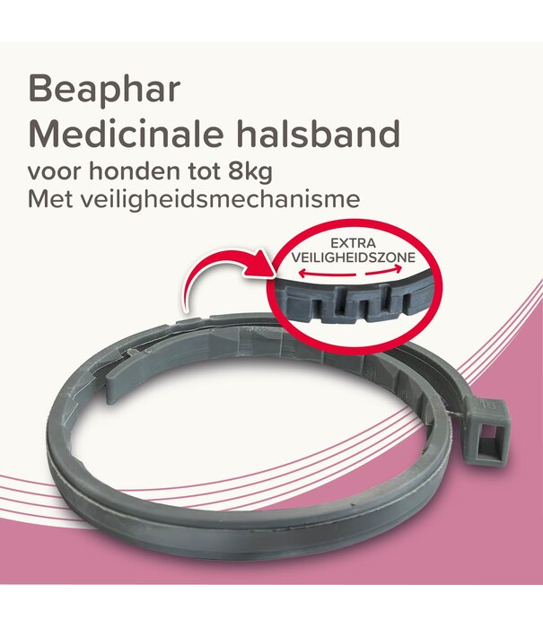 Beaphar Collier Médicamenteux Beaphar Chien jusqu'à 8kg – 8 Mois de Protection | Zoolac.nl