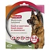 Beaphar Medicinale Halsband Hond vanaf 8kg – Tegen Teken, Vlooien & Zandvliegen