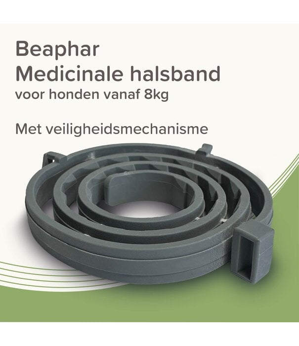 Beaphar Collier Médicamenteux Beaphar Chien à partir de 8kg – 8 Mois de Protection | Zoolac.nl