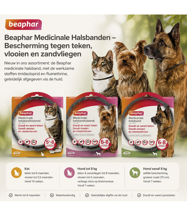 Beaphar Beaphar Medicinale Halsband Hond vanaf 8kg – 8 Maanden Bescherming
