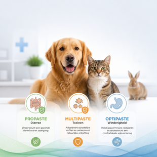 Propaste vs Multipaste vs Optipaste