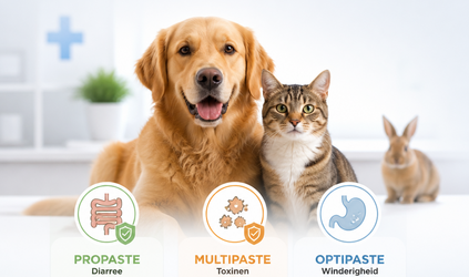 Propaste vs Multipaste vs Optipast