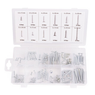 Benson Tools Houtschroeven set 120 dlg