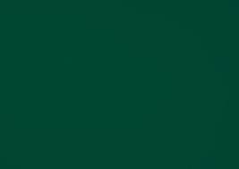 Damwandschroef 35mm Ral 6005 - Detailed view of the product