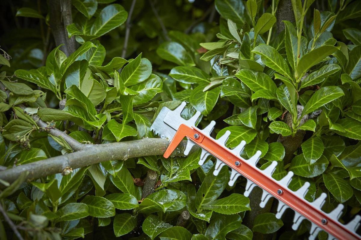 Black&Decker Heggenschaar 650W - 60cm BEHTS551 - Detailed view of the product