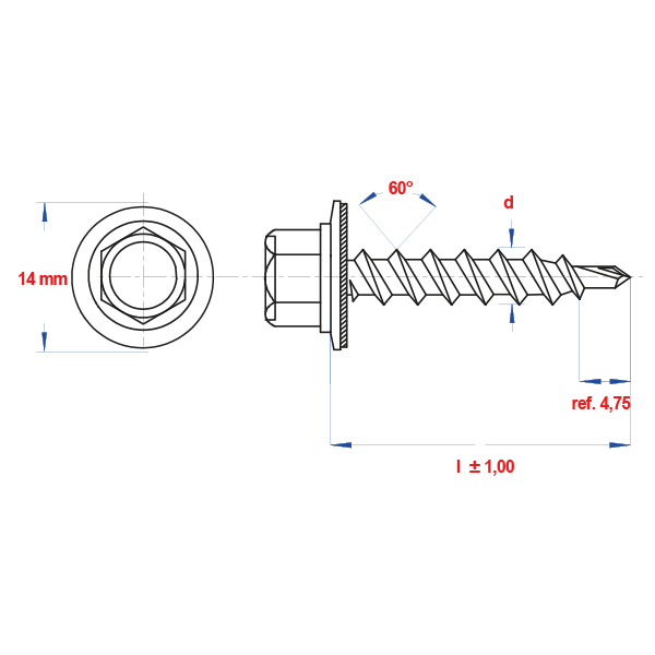 Damwandschroef 35mm Ral 9010 - Detailed view of the product
