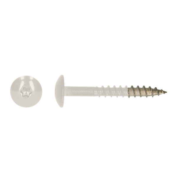 Kleurkopschroef 25mm Ral 9010