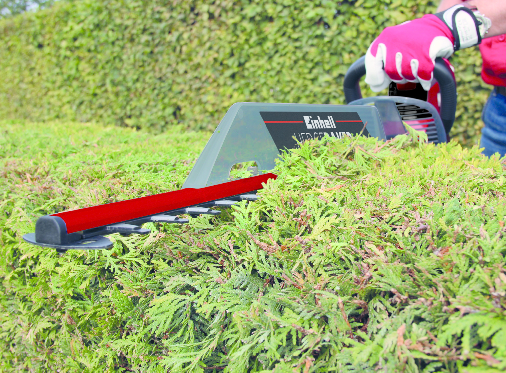 Einhell GC-EH 6055/1 Heggenschaar thumbnail 11