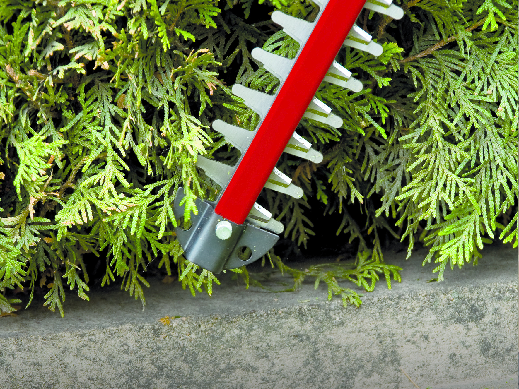 Einhell GC-CH 18/40 Li Solo Accu Heggenschaar - Detailed view of the product