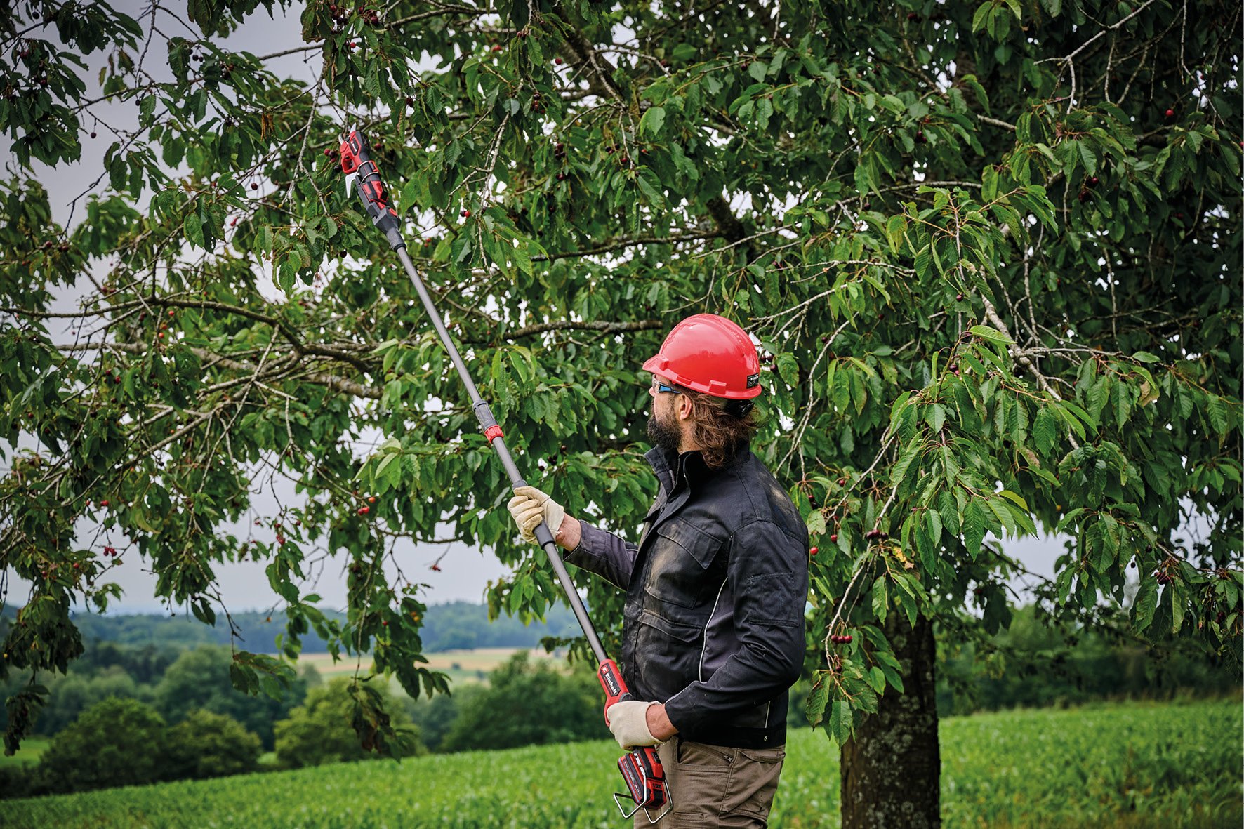 Einhell GP-LS 18/28 Li T BL Solo - Accu Snoeischaar - Power X-Change - Detailed view of the product