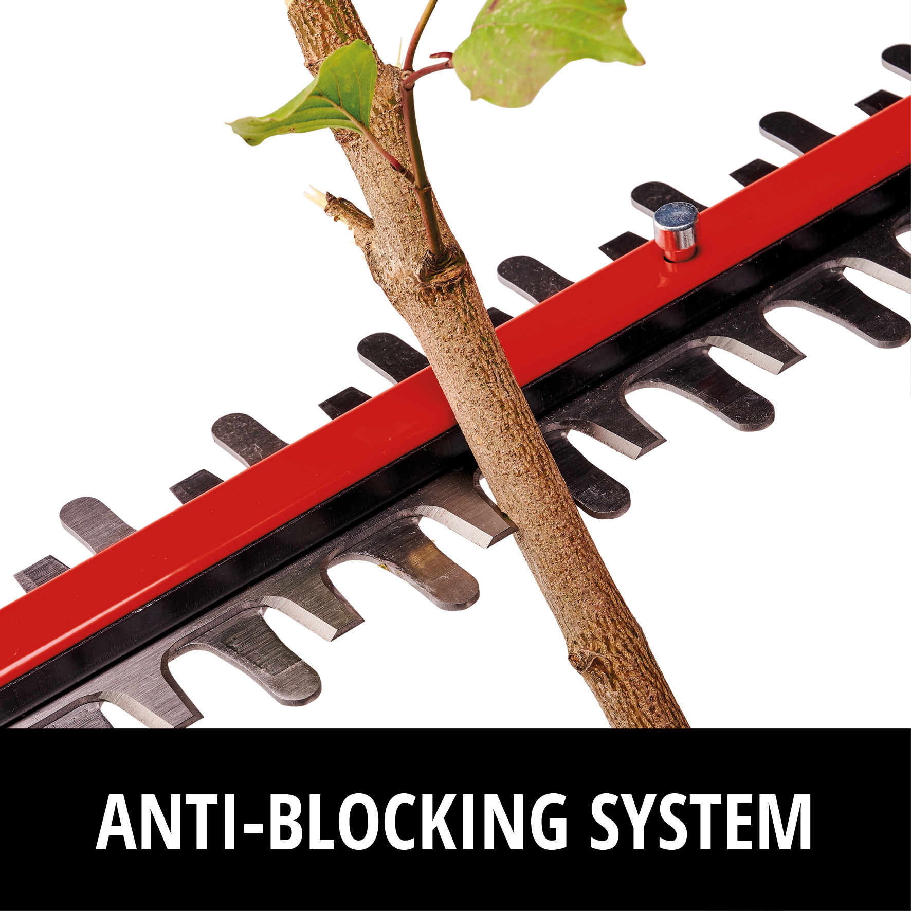 Einhell GP-CH 18/50 Li BL Solo - Accu Heggenschaar - Power X-Change - Detailed view of the product