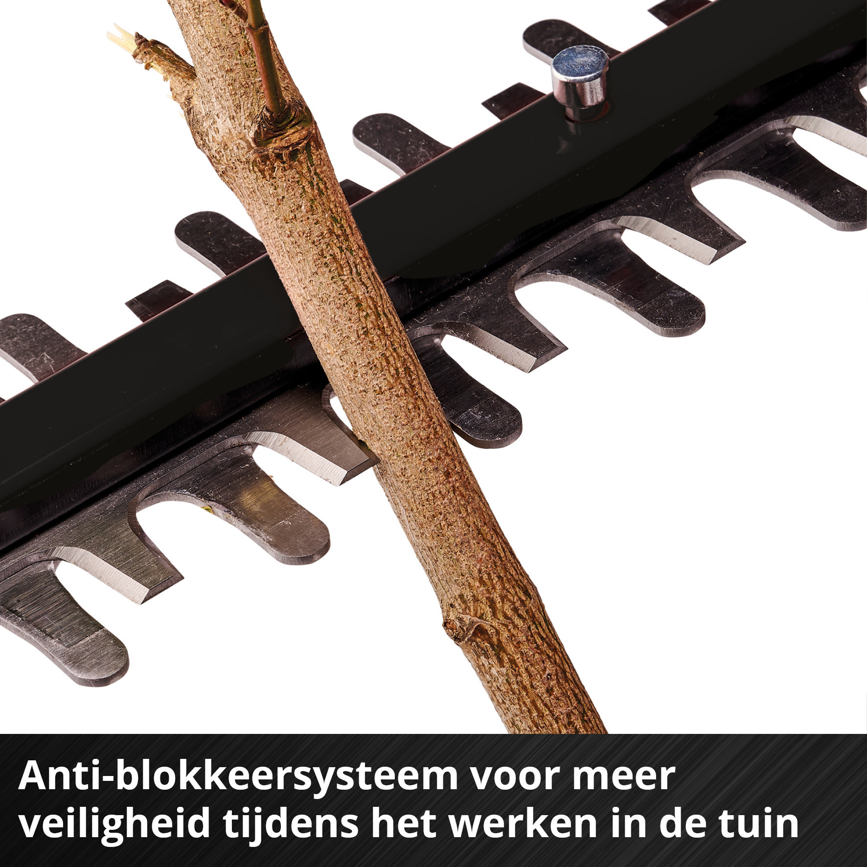 Einhell GP-HC 18/5020 Li T BL Solo - Accu Tuin-Multitool - Power X-Change thumbnail 4