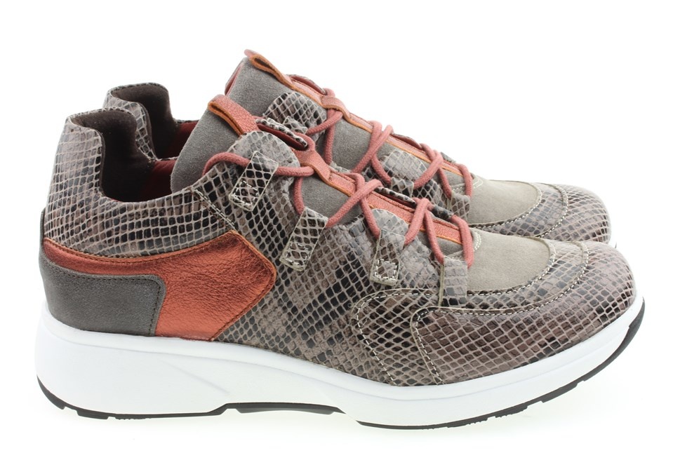 Lille Black Python - xsensible