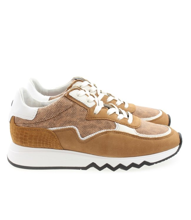 Shop Floris van Bommel 85334 L Bruin online | Bekijk de Collectie