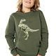 Dinosaur Sweater