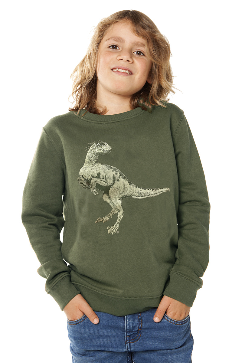 Dinosaurus Sweater