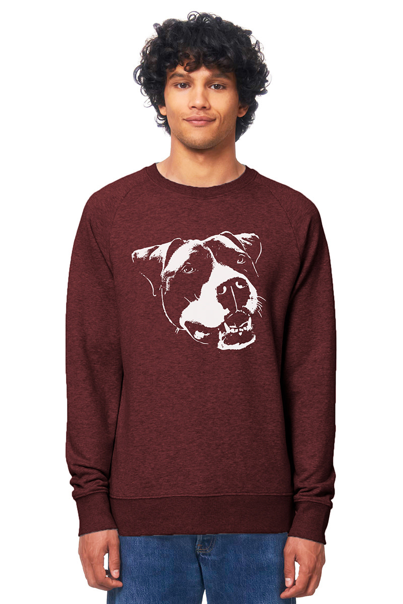 Bulldog sweater