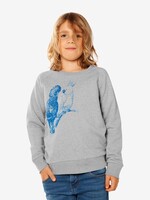 COCKATOO SWEATER