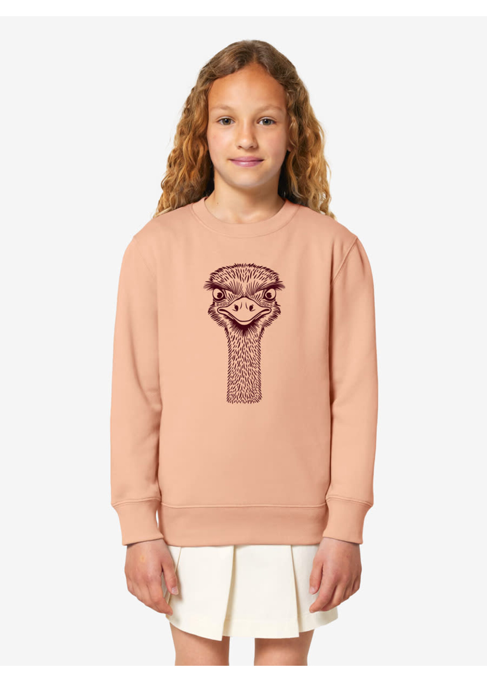 STRUISVOGEL SWEATER - ROZE
