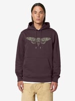 CICADE HOODIE