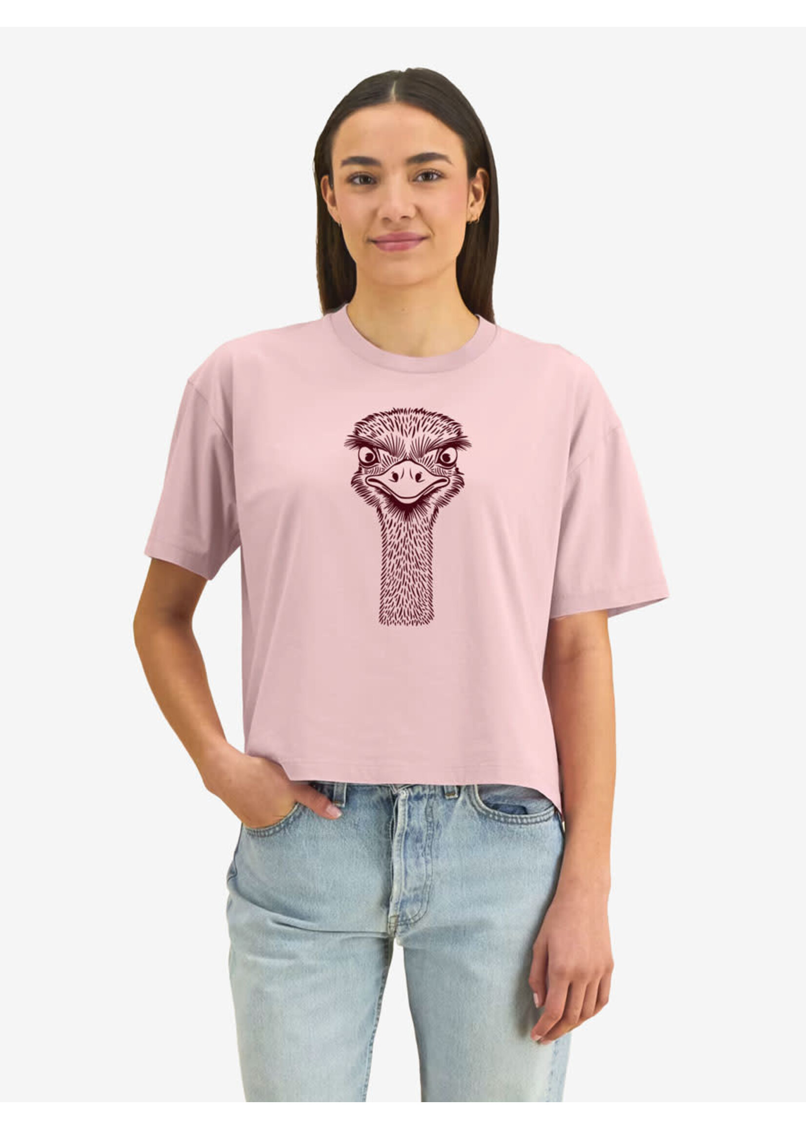 STRUISVOGEL CROP T - VINTAGE