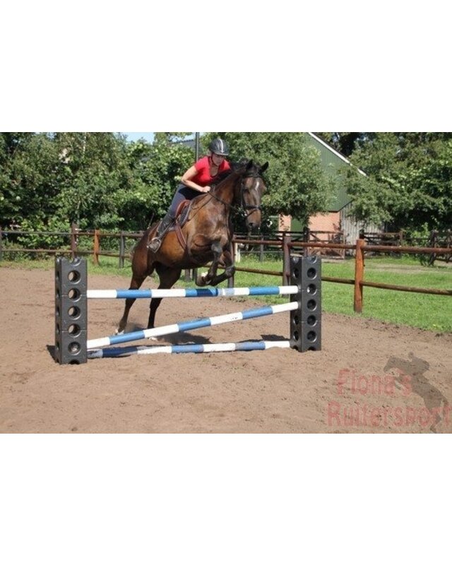 Hofman animal care HINDERNISBLOK - HORSE CUBE