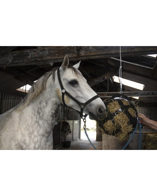 Hofman animal care HAY SLOWFEEDER 40 CM KUNSTSTOF