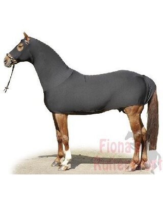 Vuil, schuur- en vliegenpak