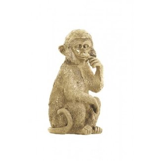 Light en Living Ornament Aap 19,5 cm goud