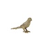 Light & Living Ornament 24x7x14,5 cm BIRD goud