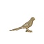 Light & Living Ornament 24x7x14,5 cm BIRD goud