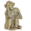 Light en Living Ornament Aap antique brons