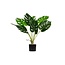 Woood Monstera kunstplant groen 70 cm